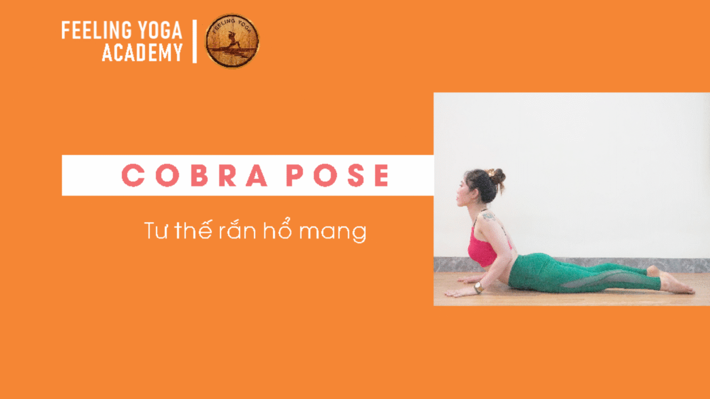 feeling yoga center 8