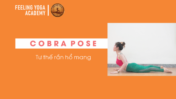 feeling yoga center 8
