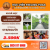 Khóa Học 30H Handstand Khoa 30h Flow cho nguoi moi 5